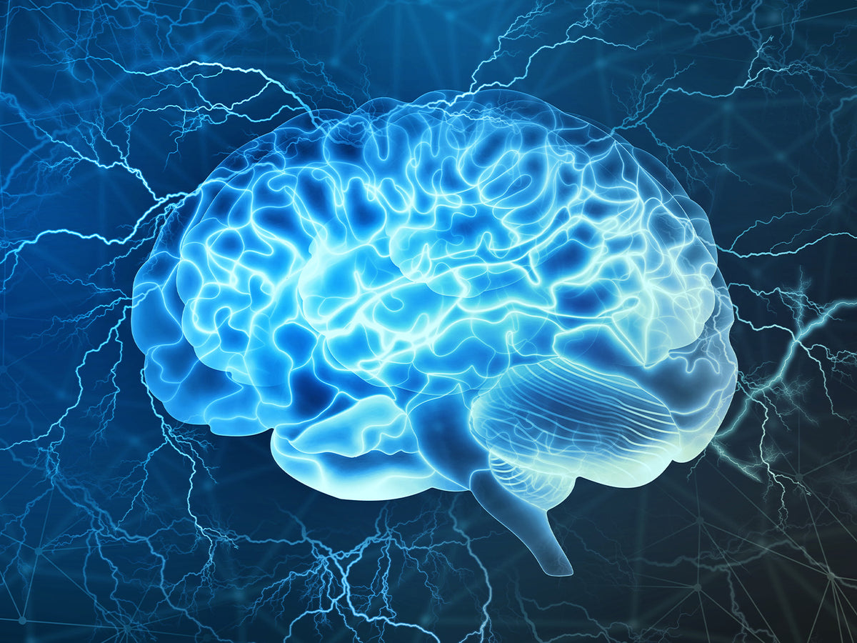 Digital illustration of a glowing human brain with electric signals, representing focus, memory, and cognitive support.