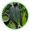 Linoleic Acid