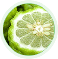 Bergamot Extract
