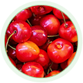 Montmorency Cherry