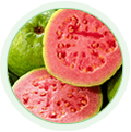 Guava