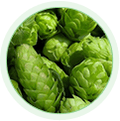 Hops Extract