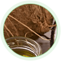 Medium Chain Triglycerides (MCT)