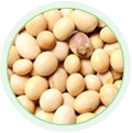 Plant Sterols