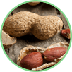 Vitamin B6