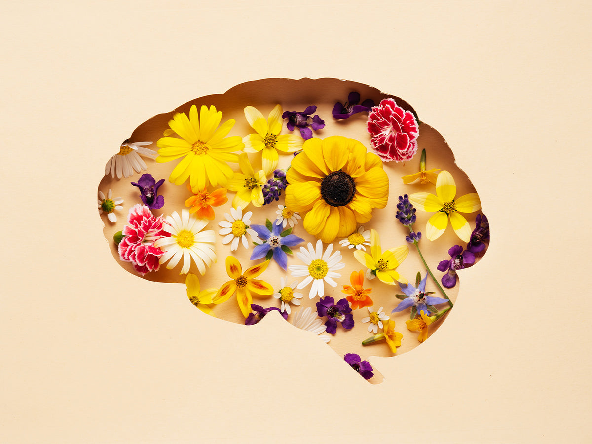A brain silhouette filled with colorful flowers, representing natural support for mental clarity and brain function.