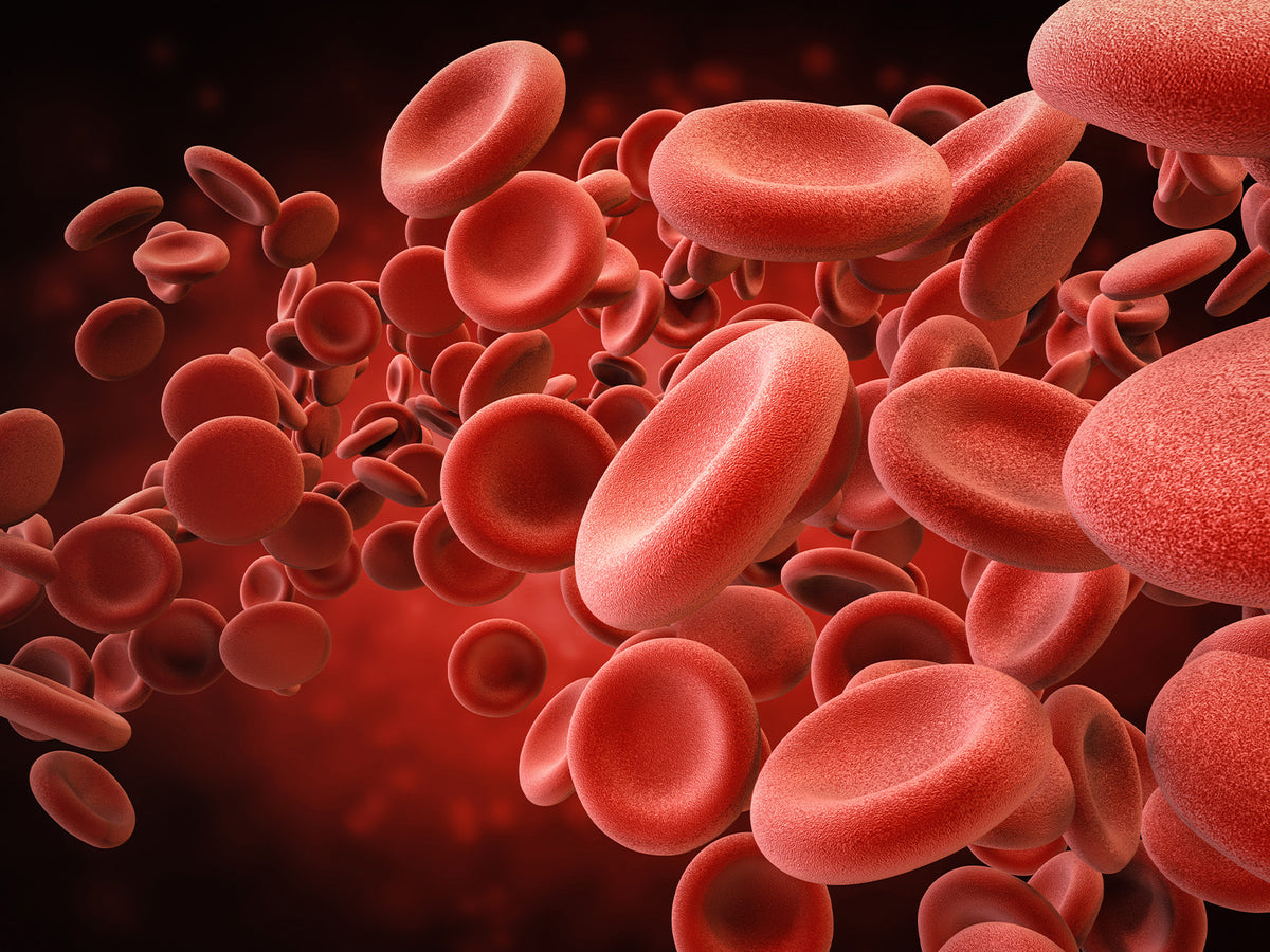 Detailed 3D render of red blood cells flowing through a vessel on a deep red gradient, visually representing cardiovascular health, circulation, and the cholesterol balance benefits associated with a supportive daily supplement.