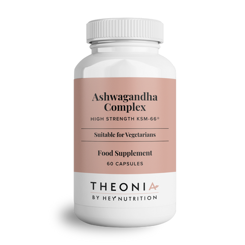 l carnitine and ashwagandha Nutratology KSM-66 with L-Theanine 60 Capsules Nature's Truth B-Energized + B