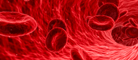 Supports normal blood clotting